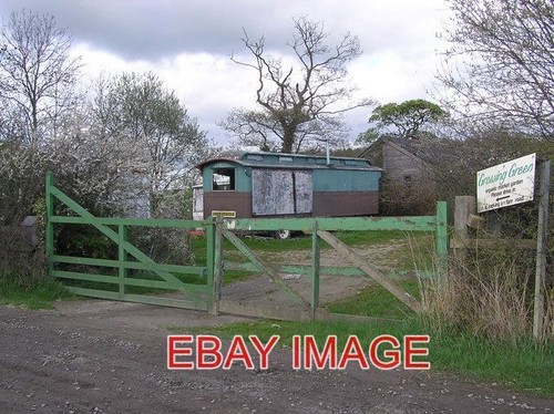 Photo growing green - photo,
