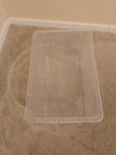 Home clear plastic shoe box - home,