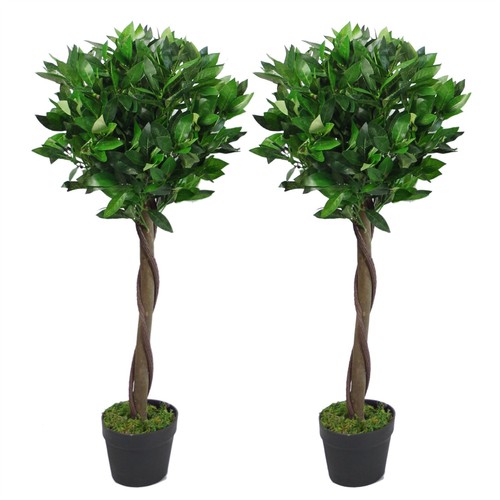 Topiary tree pair - topiary,