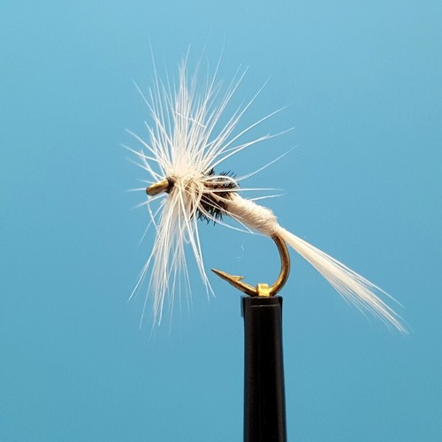 Caenis fly fishing dry - 3,