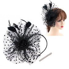 Fascinator Hat Feathers Hair