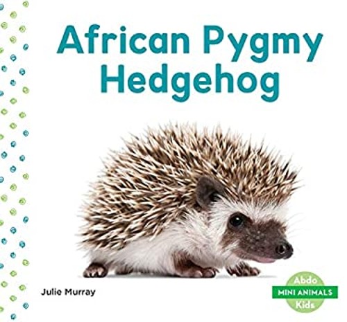 African pygmy hedgehog library - african,