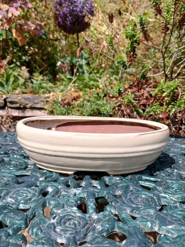 Bonsai oval bowl - bonsai,