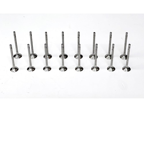 Engine valves for - 16,