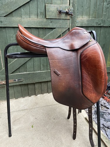 Harry dabbs jaguar dressage - dabbs,