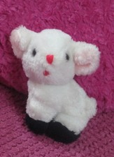 White little lamb soft toy