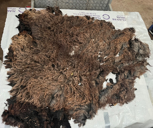 1900g hebridean whole raw - 1900g,