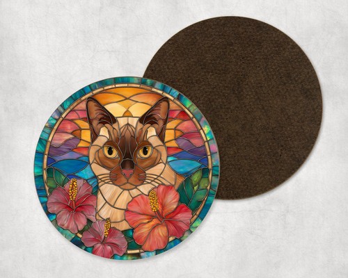 Burmese cat kitten animal - kitten,