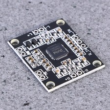 Mono Amplifier Board Digital