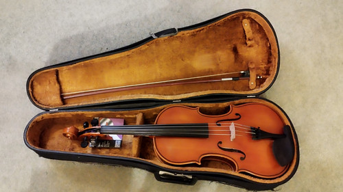 Viola 5 inch - viola,,