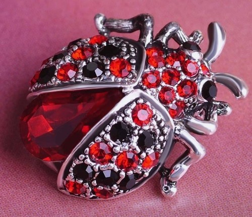Ladybird brooch crystal unisex - ladybird,