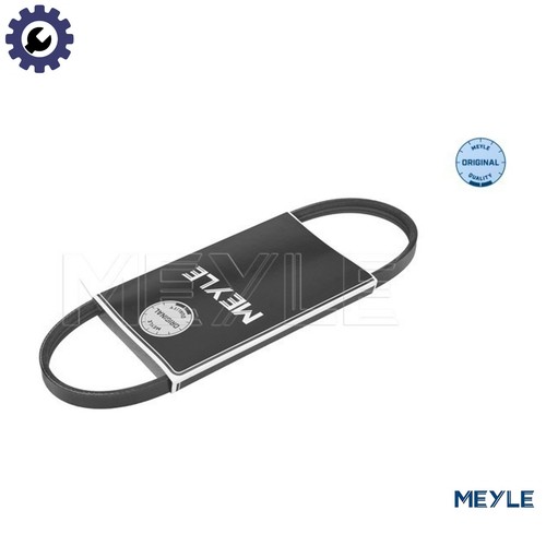 Vribbed belt 050 003 0675 - belt,