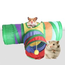 Guinea Pig Tunnel, Rabbit