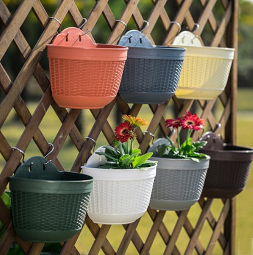 Hanging planter plant - hanging,
