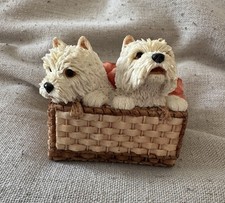 Westie dog west highland - westie,