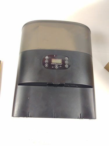 Honey guaridan automatic - honey,