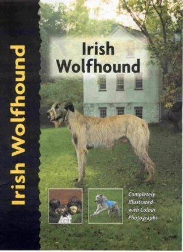 Irish wolfhound by - irish,