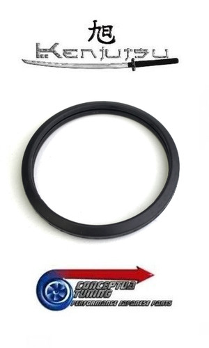 Thermostat ring gasket - thermostat,