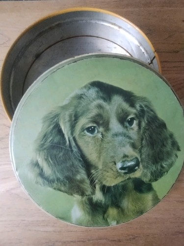 Vintage spaniel dog - vintage,