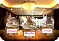 Bunny Rabbit Mix NEW - 12