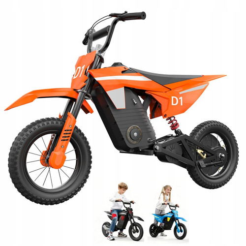 Electric kids dirt bike 300w - dirt,