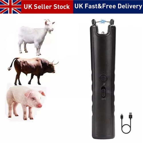 Livestock driving stick pig - livestock,
