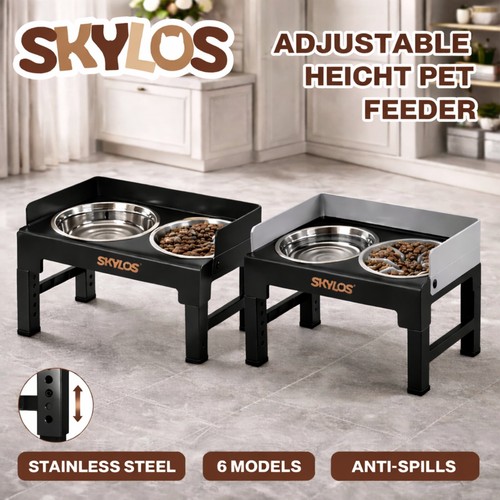 Skylos raised dog bowl - bowl, on