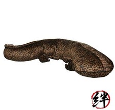 Giant salamander plush toy 63cm