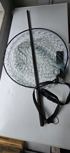 Excellent large salmon - excellent, 24"