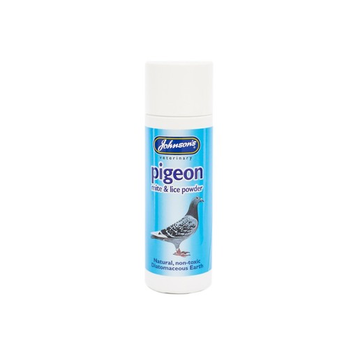 Johnsons pigeon mite - mite, lice