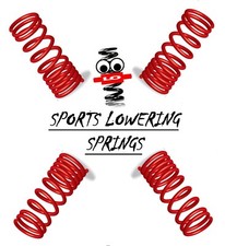 Lowering springs for - lowering,