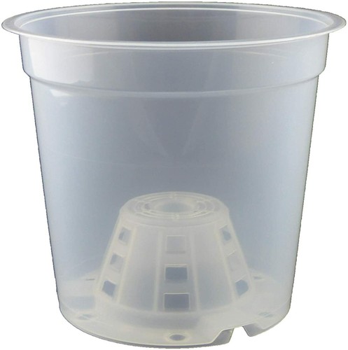 Clear orchid plant - 10, x