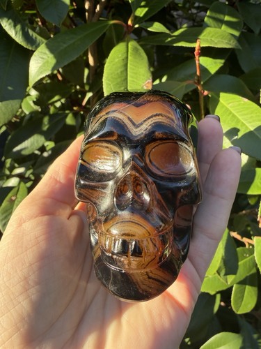 Sardonyx skull - sardonyx,