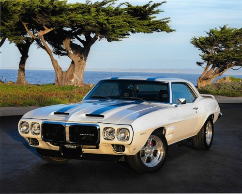 1969 pontiac firebird - pontiac, trans