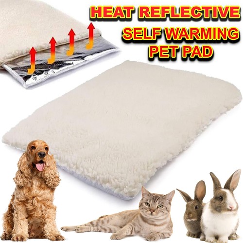 Self heating pet pad warm - self,