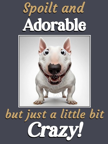 English bull terrier dog funny - english,