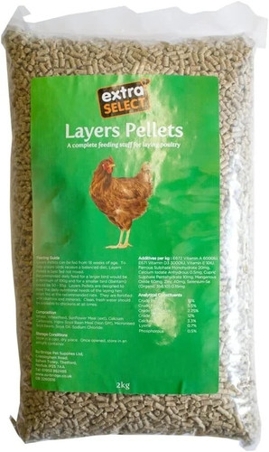 Chicken feed layers - chicken,