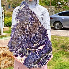 7.45LB  Zebra Marble End Plate Cabbing Lapidary Carved Spiritual Chakra Utah