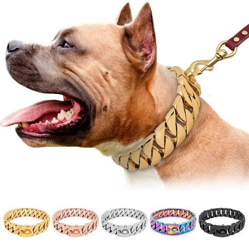 Big dog chain collar - big,