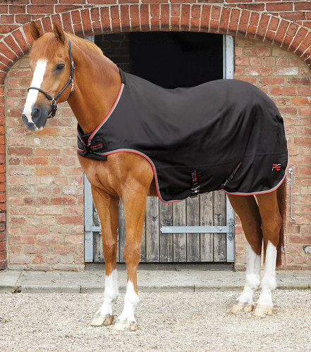 Premier equine horse - horse, walker