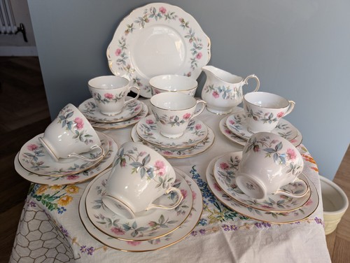 Duchess bramble rose bone - rose,