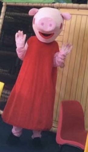 Peppa pig mascot adult - pig,