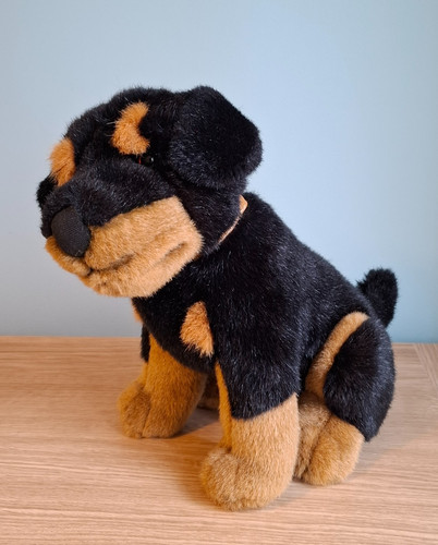 John lewis sitting rottweiler - john,