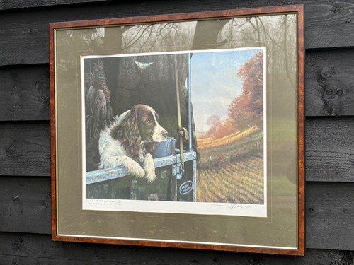 Terence macklin framed - framed, limited