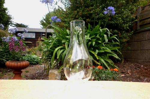 Clear glass small bulge round - clear,