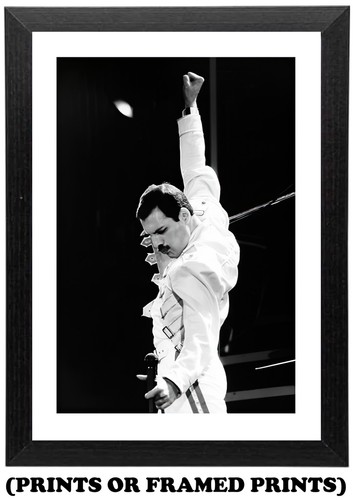 Freddie mercury b - freddie, (queen)
