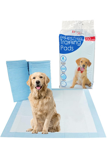 Extra large puppy training - extra,