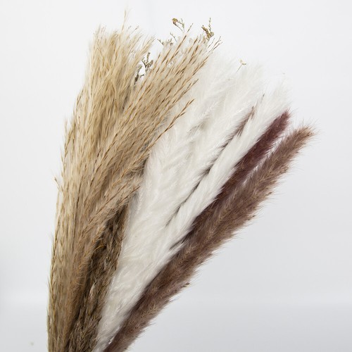 21pcs dried flower pampas - 21pcs,
