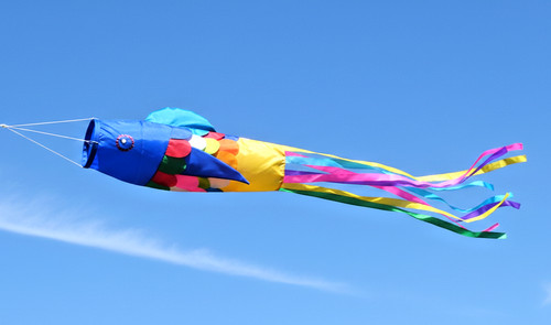 Festival flag tent - flag, wind