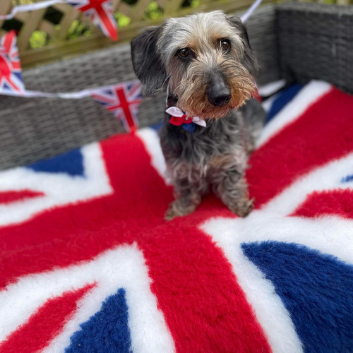 Vet bed union - jack, whelping